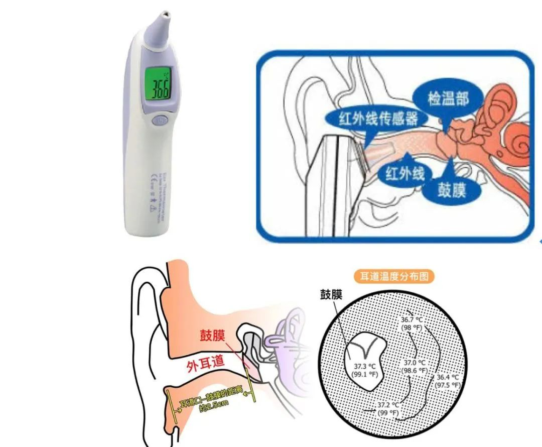 额温枪是怎么计算出体温值呢？